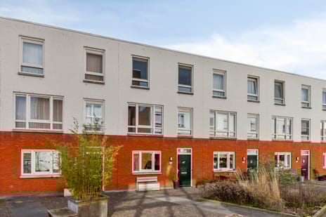 Hoog Gagel thumbnail