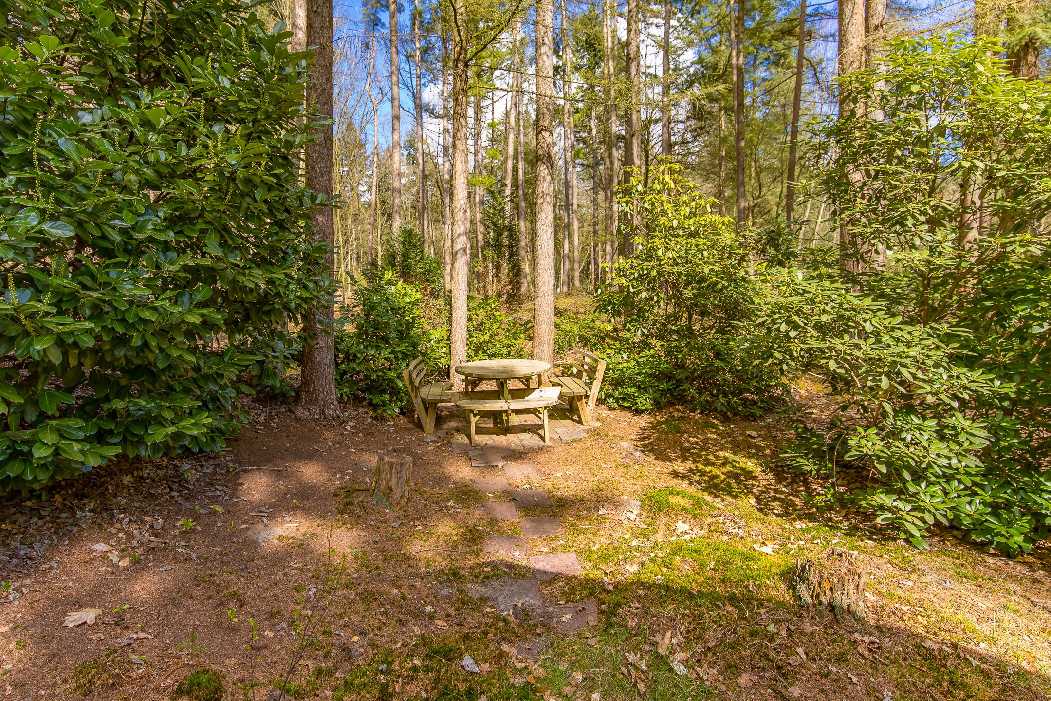 Photo 21 of Gasselterstraat 7-008