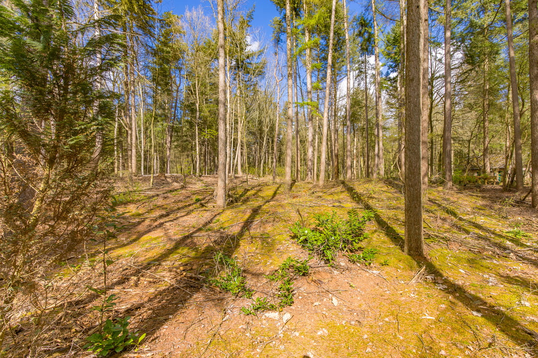 Photo 22 of Gasselterstraat 7-008