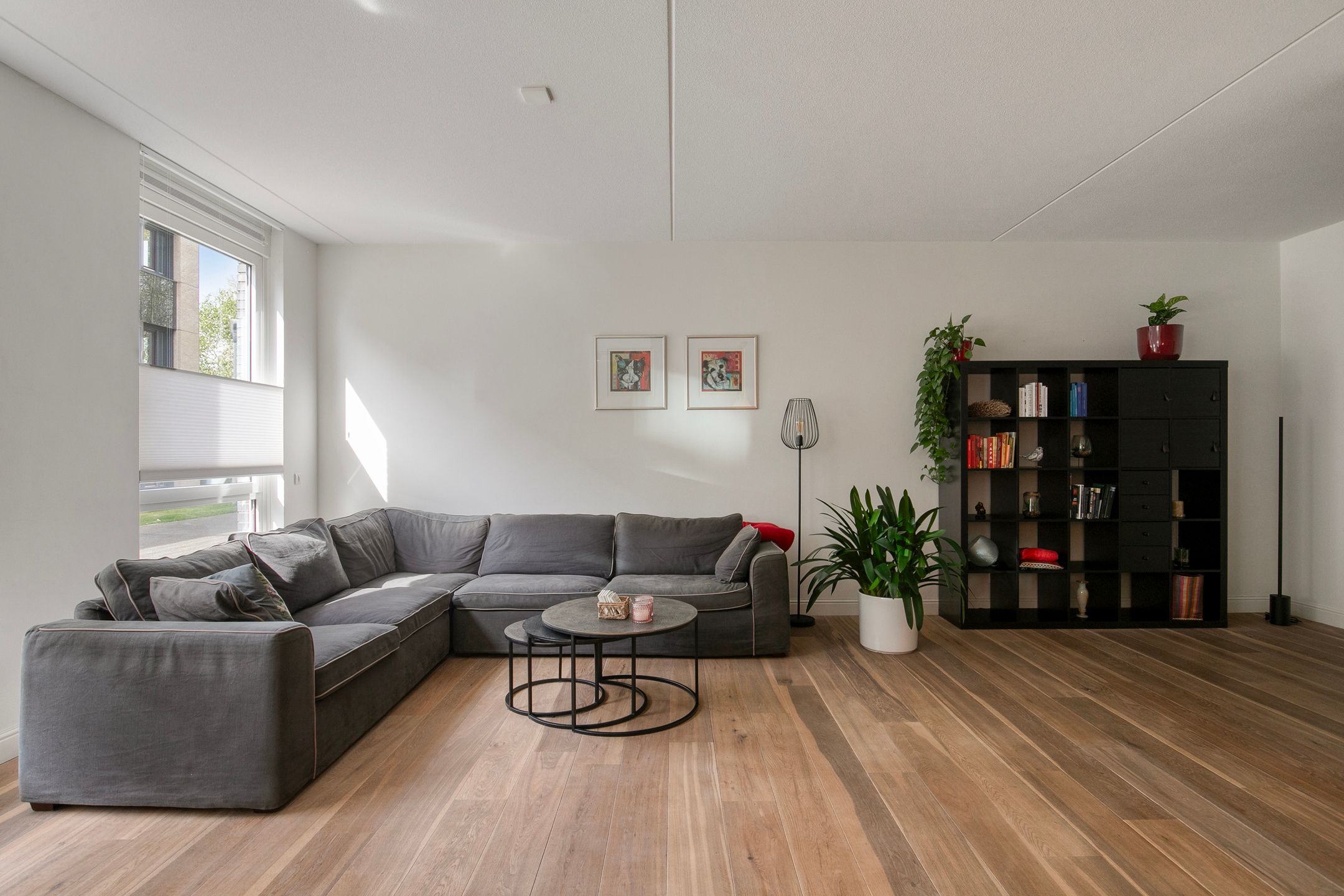 Foto 3 van Rijngraafstraat 36