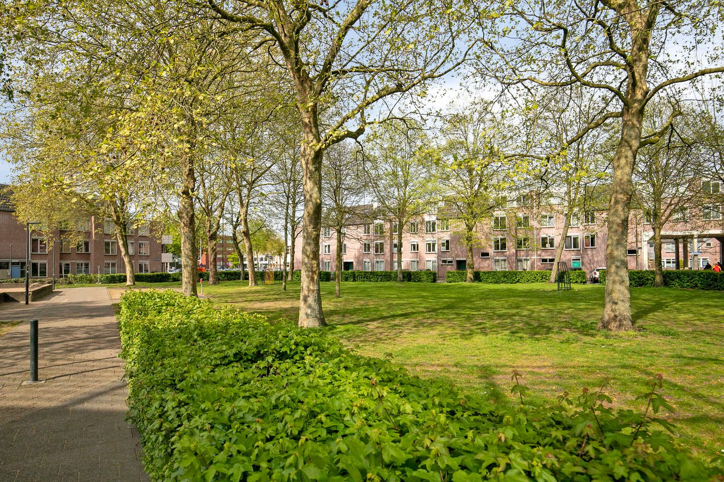 Foto 34 van Rijngraafstraat 36