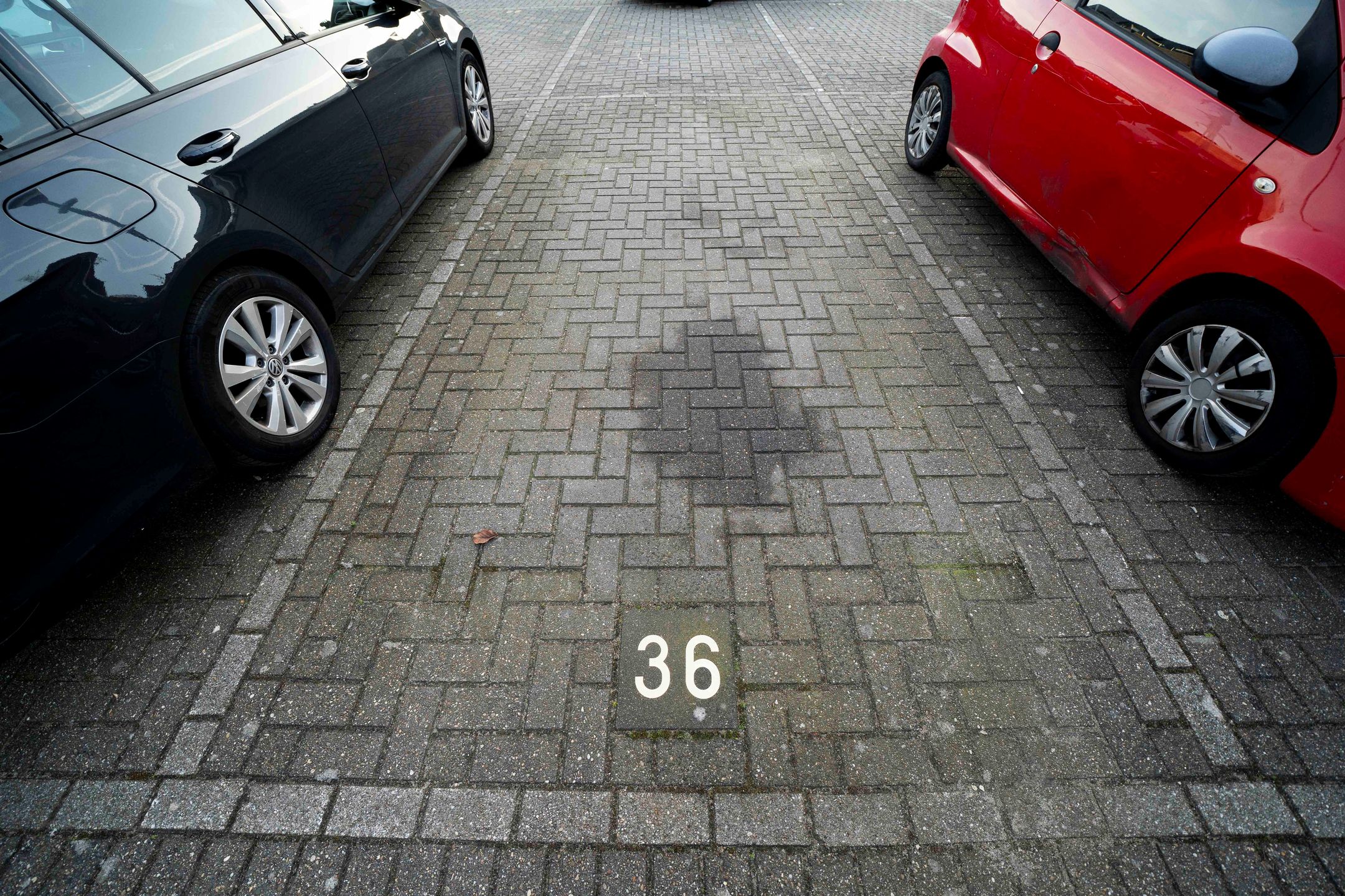 Photo 33 of Paulus Potterstraat 90