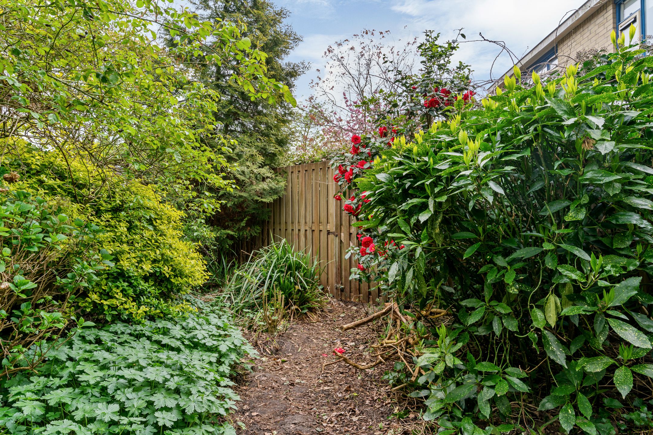 Foto 24 van Vlieland 174