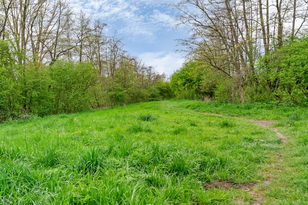 Foto 32 van Vlieland 174