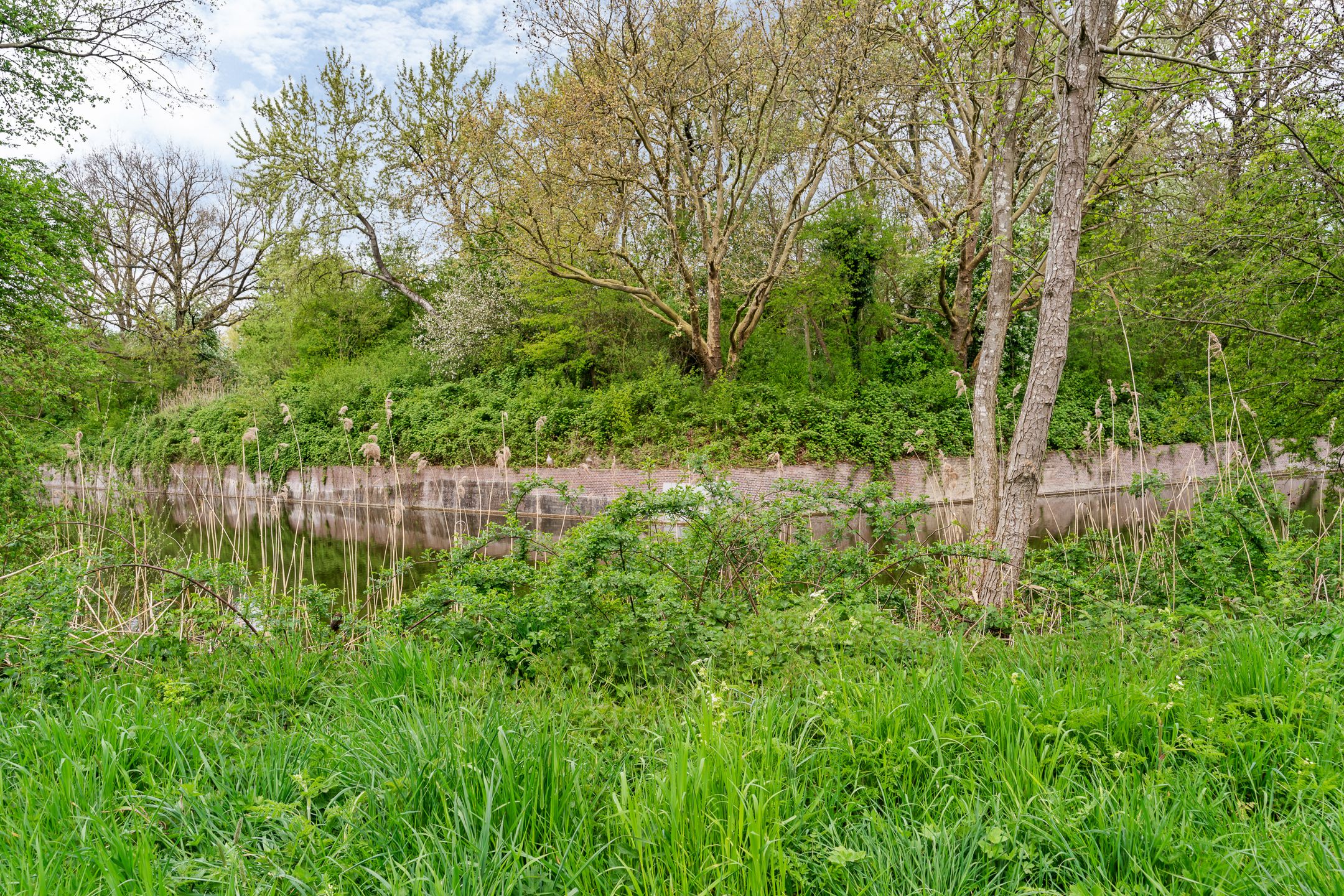 Foto 33 van Vlieland 174