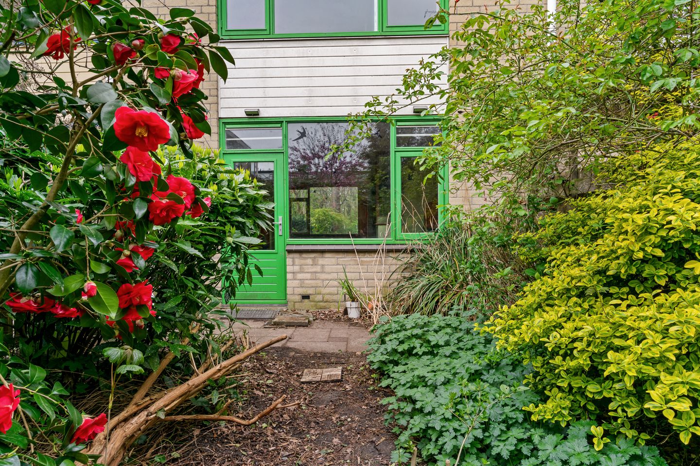 Foto 4 van Vlieland 174