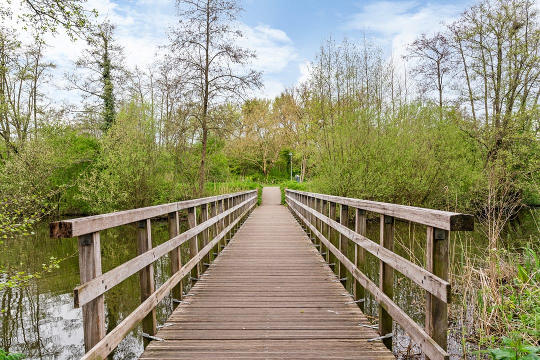 Foto 31 van Vlieland 174