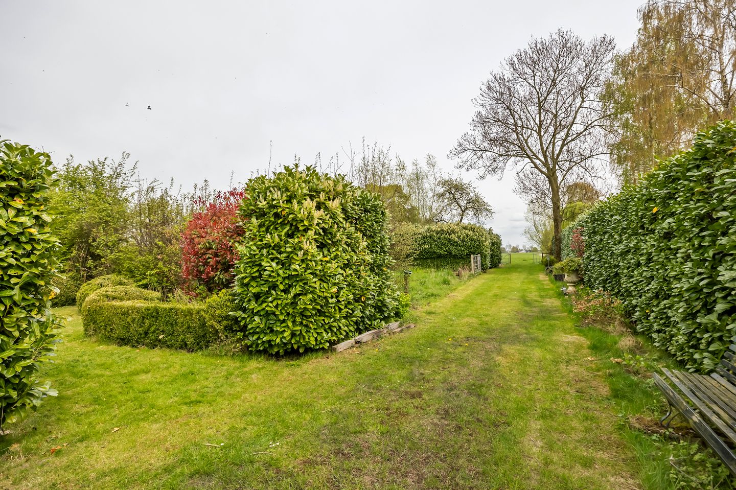 Photo 19 of Voordijk 40