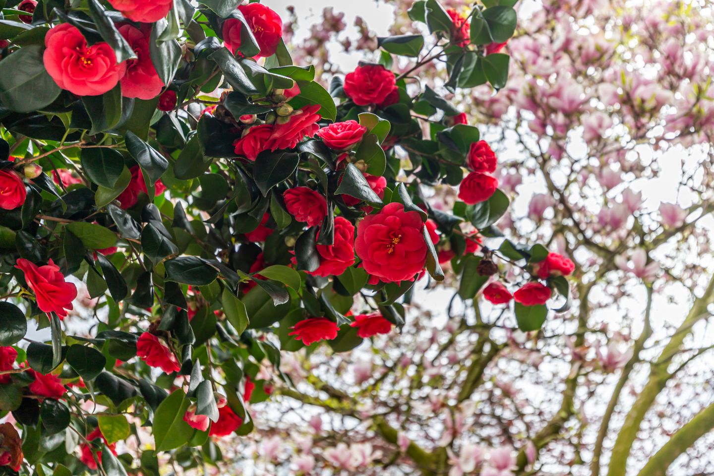 Foto 20 van Jaarsveldstraat 44