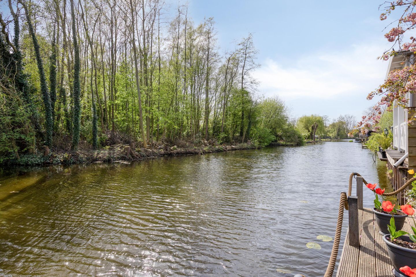 Photo 34 of Nieuwlandsekade 1-A