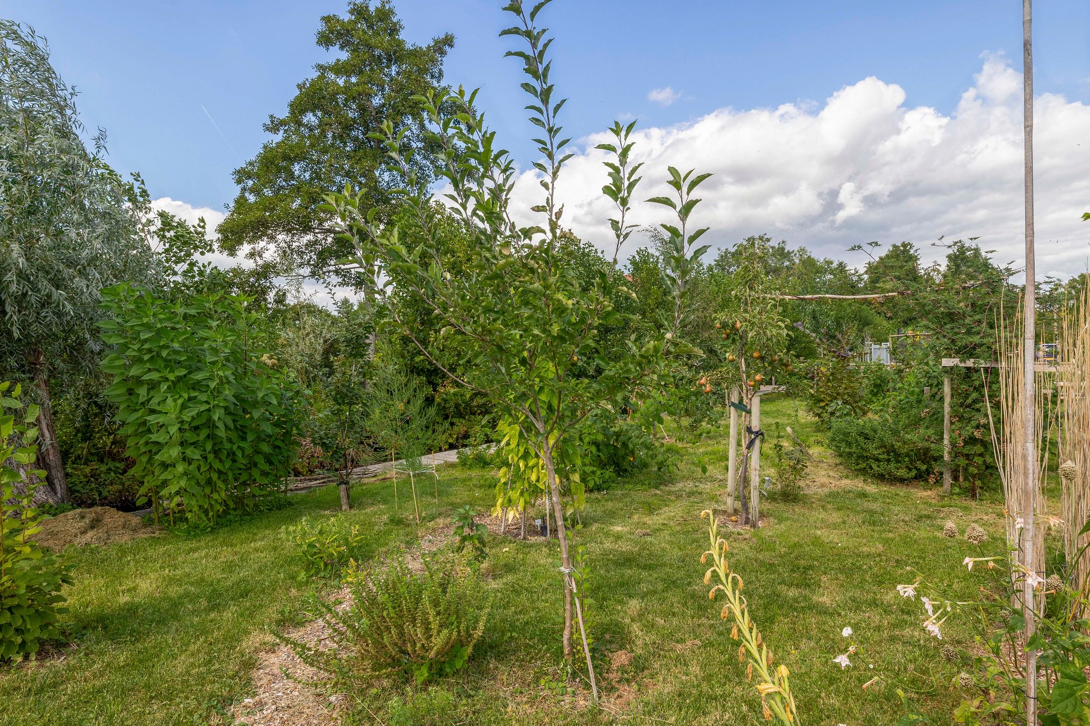 Foto 12 van Broekselaantje