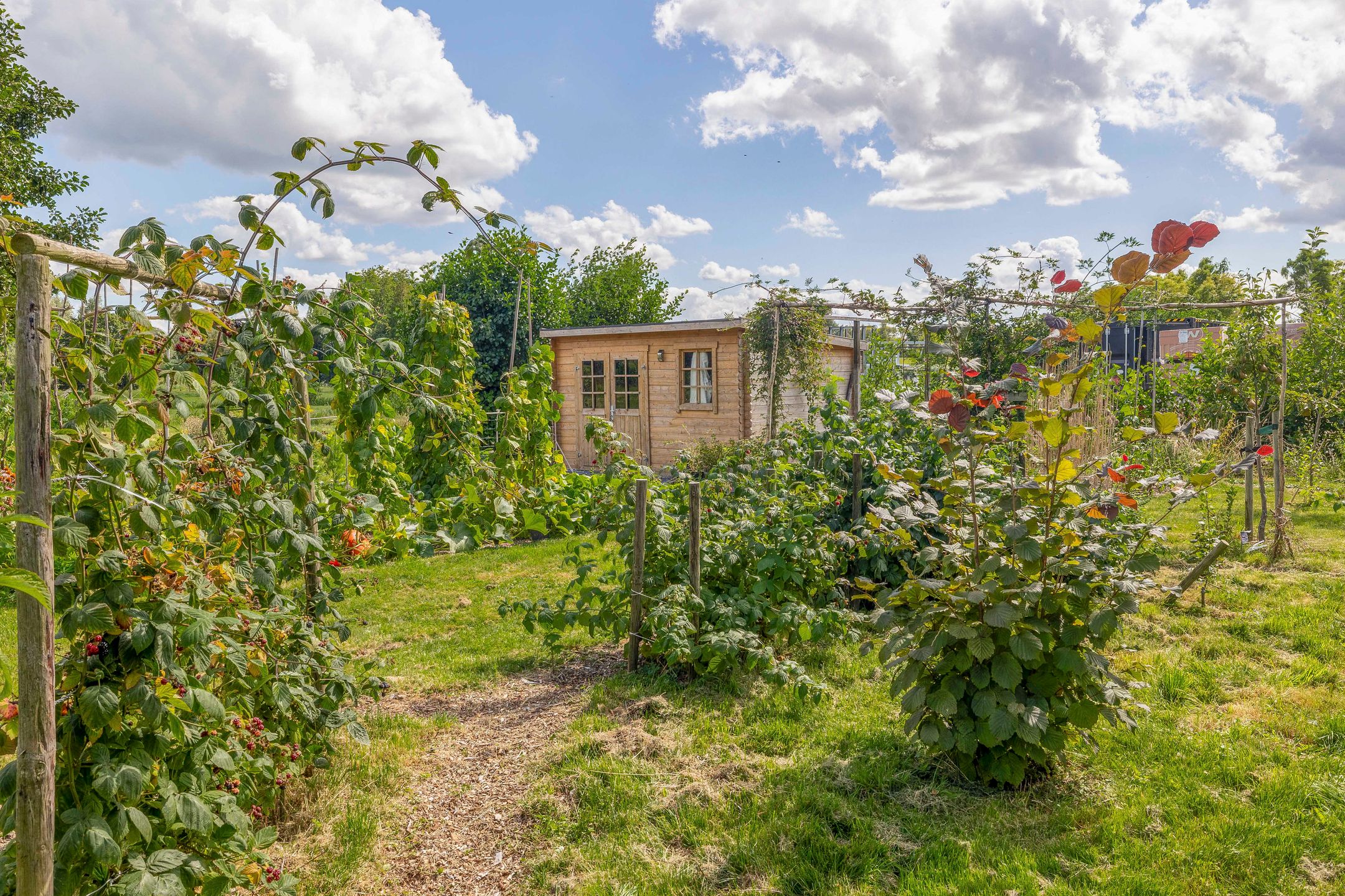 Foto 3 van Broekselaantje