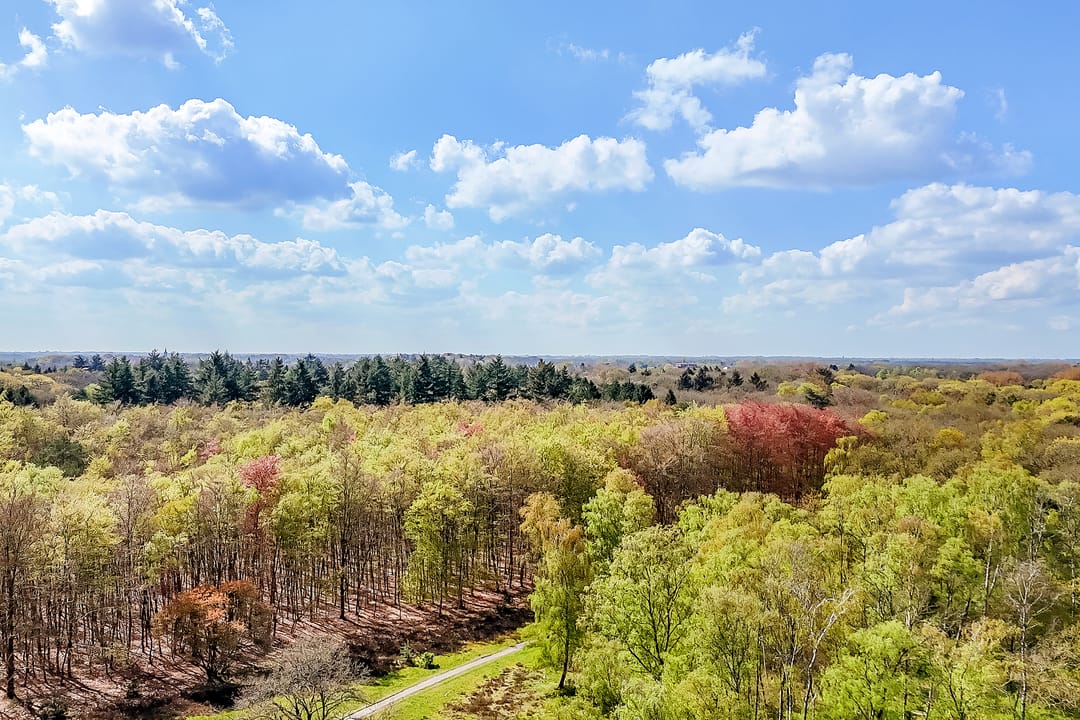 Photo 28 of Kolhornseweg 168