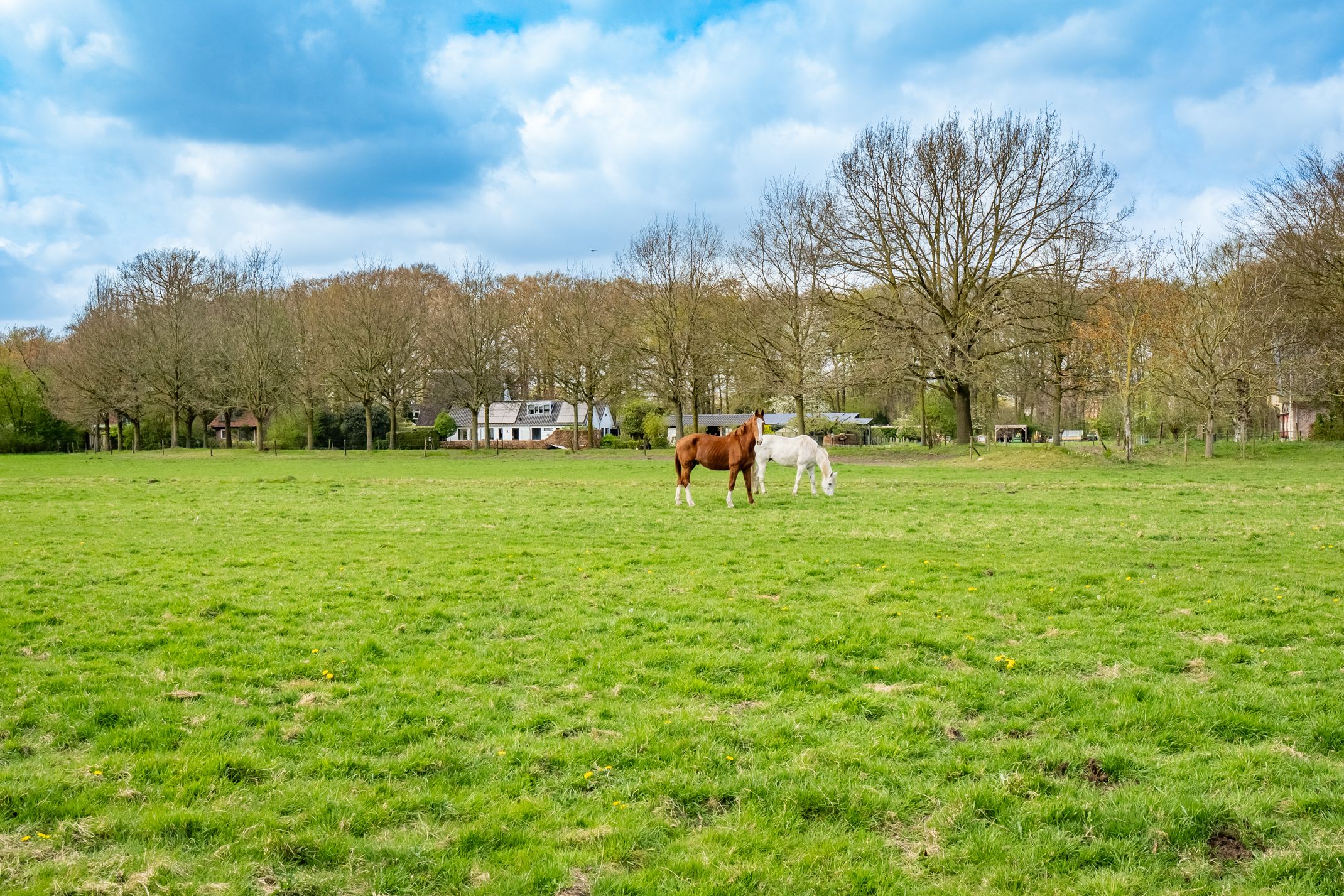 Foto 39 van Veldlaan 47