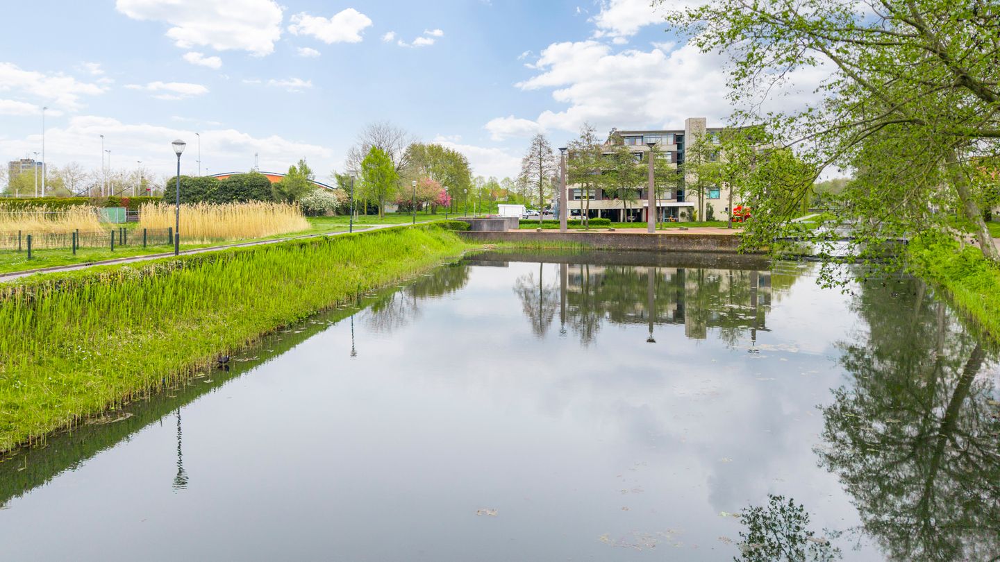 Foto 35 van Pastoor Hoekx-singel 241