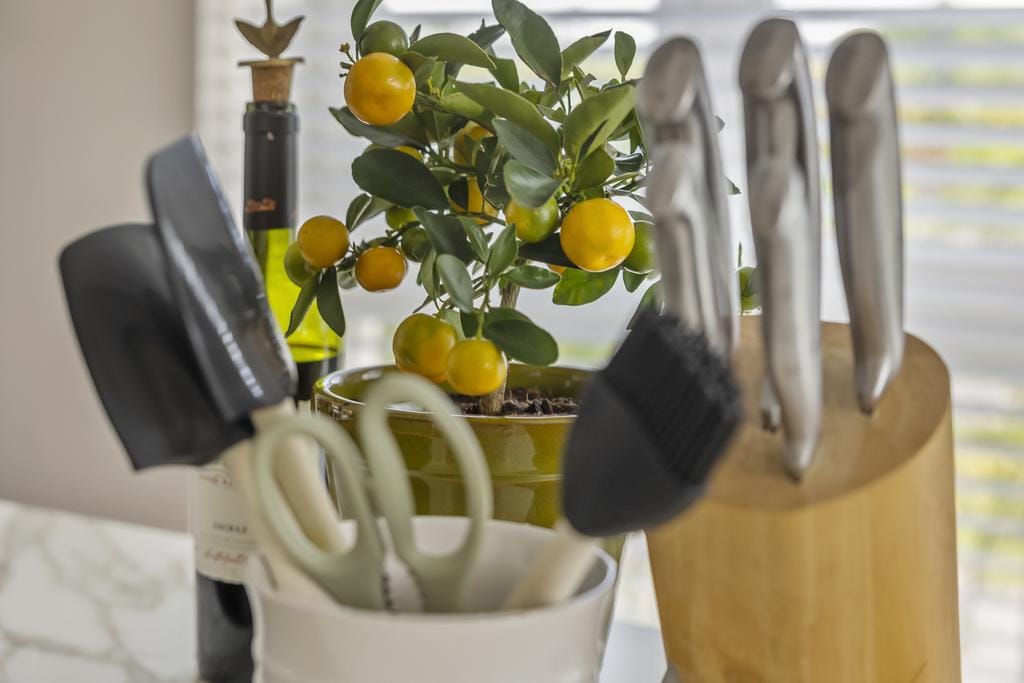 Photo 14 of Vaandrig 11