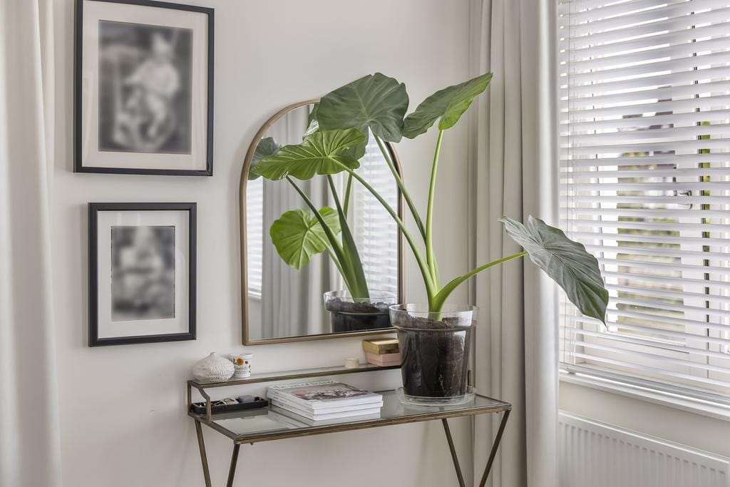 Photo 25 of Vaandrig 11