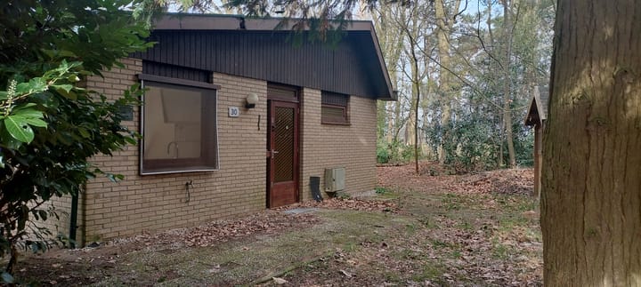 Foto 2 van Kievit 12-B030