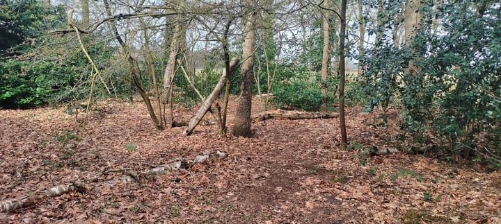 Foto 3 van Kievit 12-B030