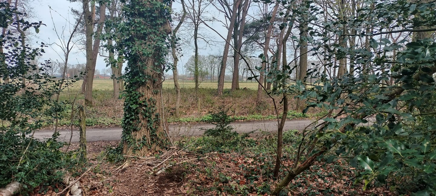 Foto 4 van Kievit 12-B030