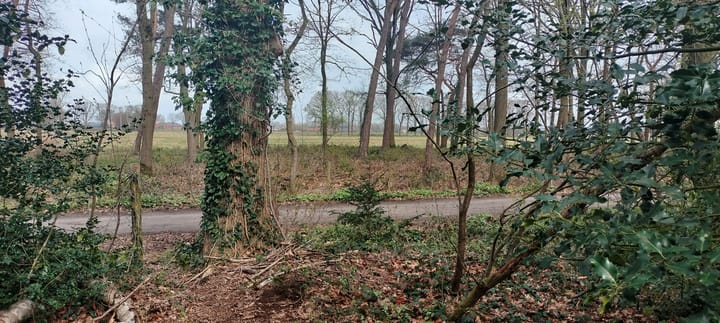 Foto 4 van Kievit 12-B030