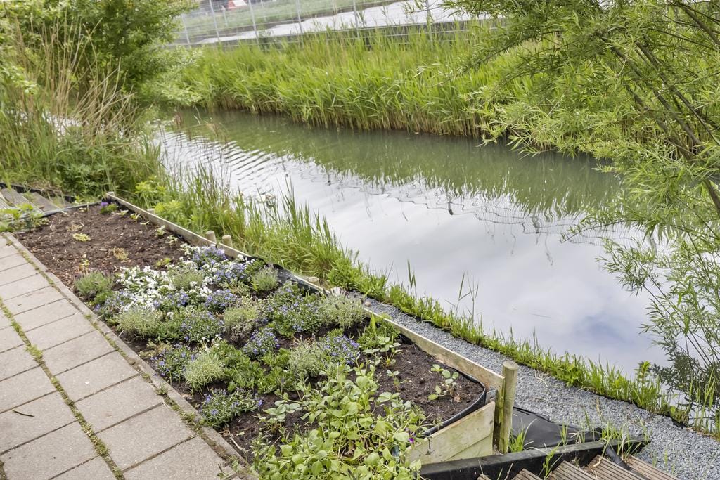 Photo 37 of Vaandrig 11