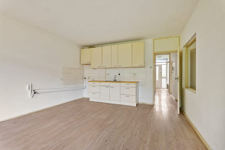 Foto 3 van Spinnekop 18