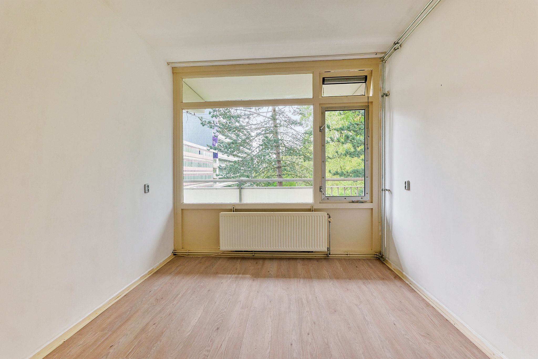 Foto 6 van Spinnekop 18