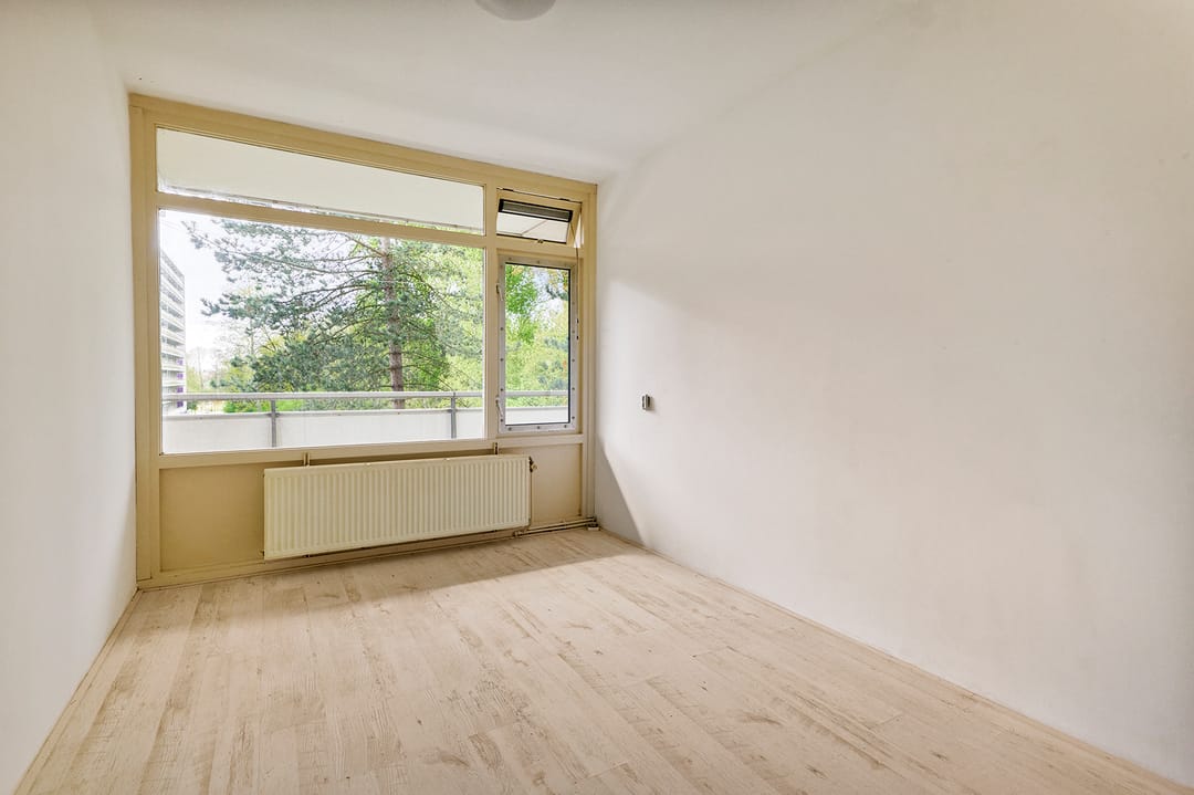 Foto 8 van Spinnekop 18