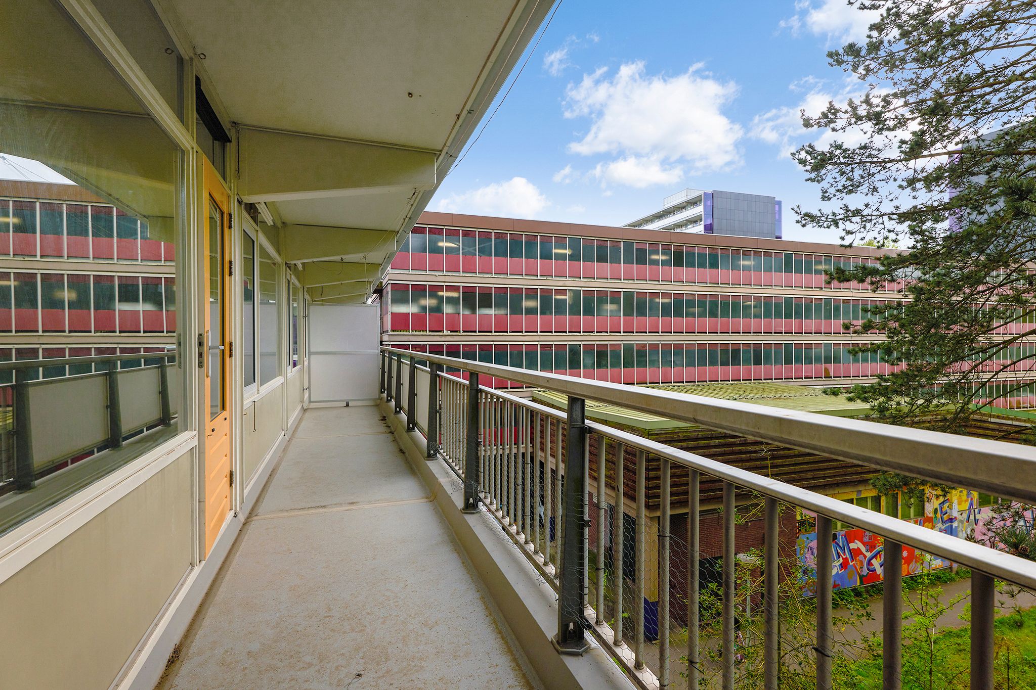 Foto 12 van Spinnekop 18