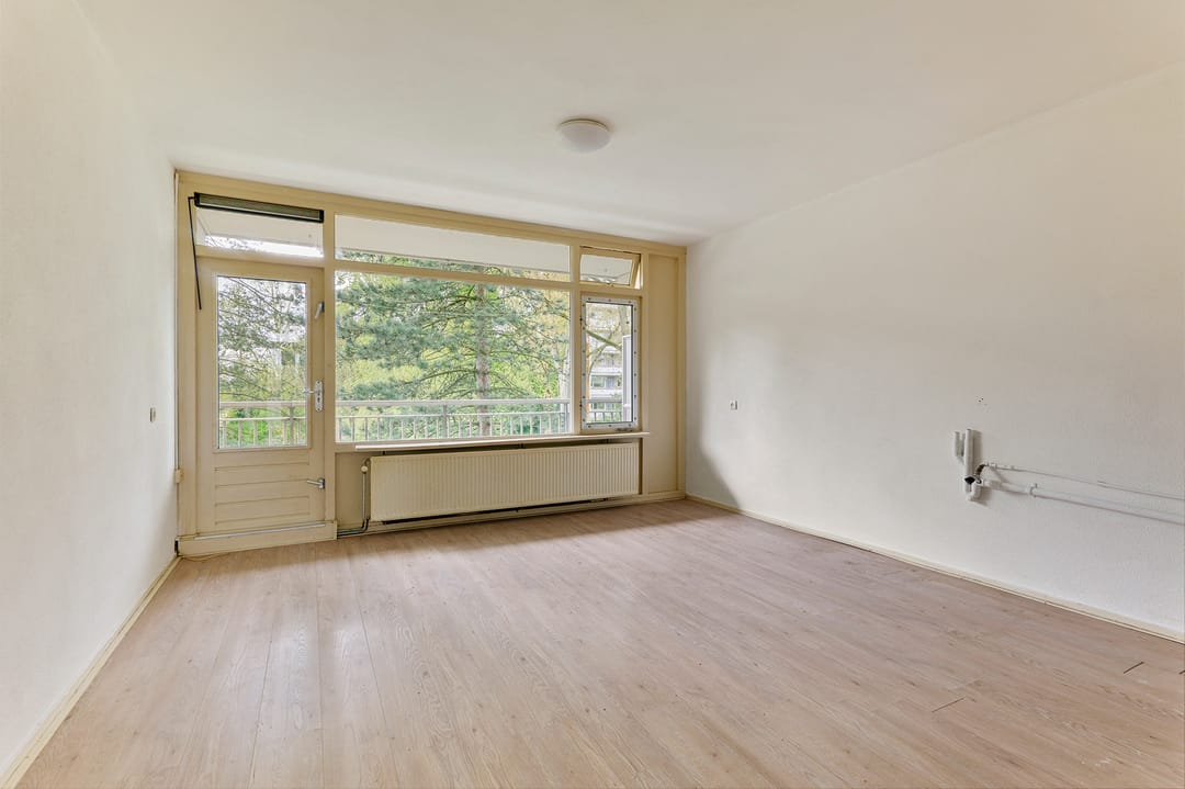 Foto 2 van Spinnekop 18