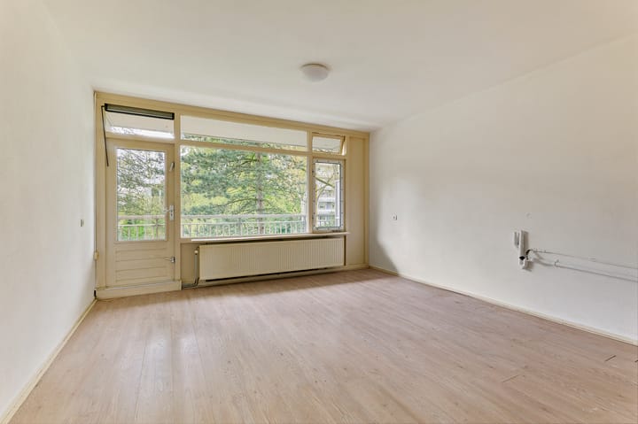 Foto 2 van Spinnekop 18