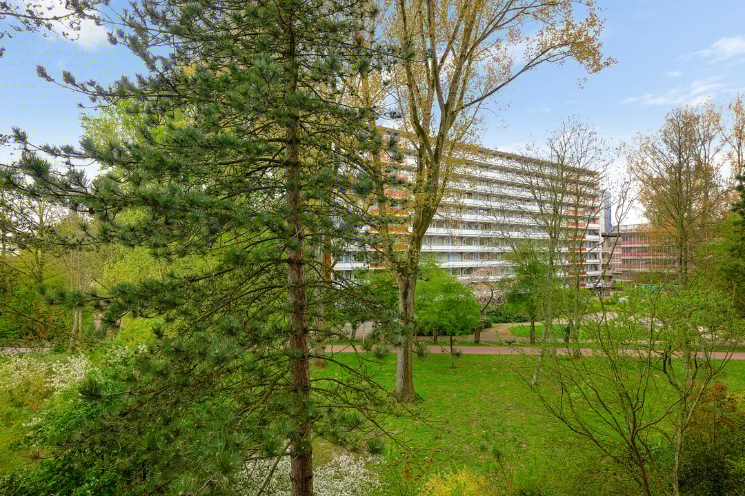 Foto 13 van Spinnekop 18