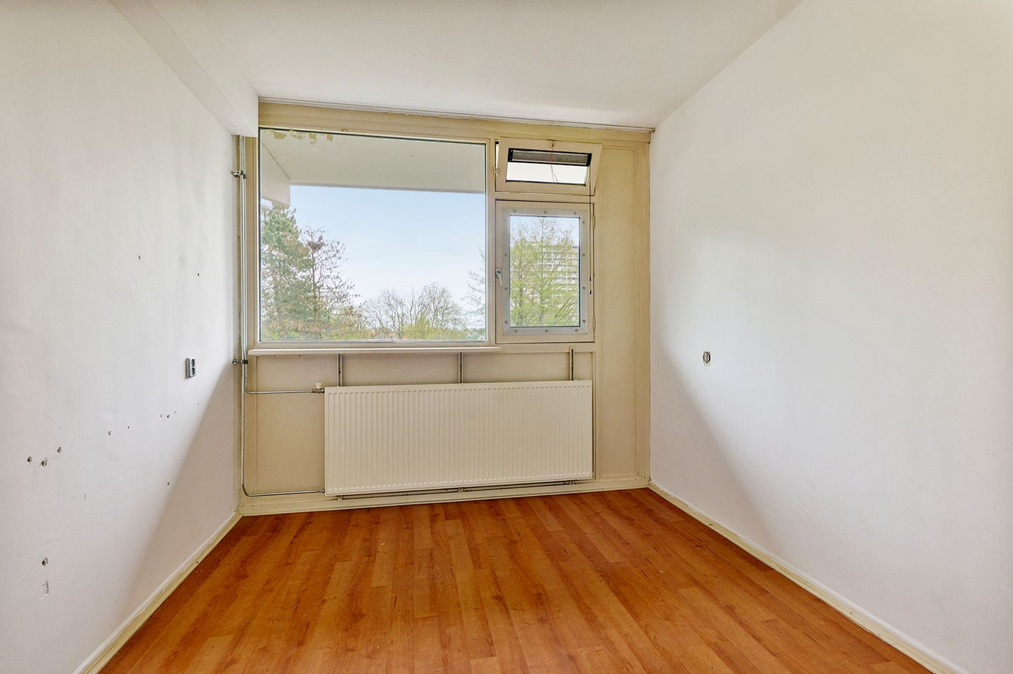 Foto 14 van Spinnekop 18