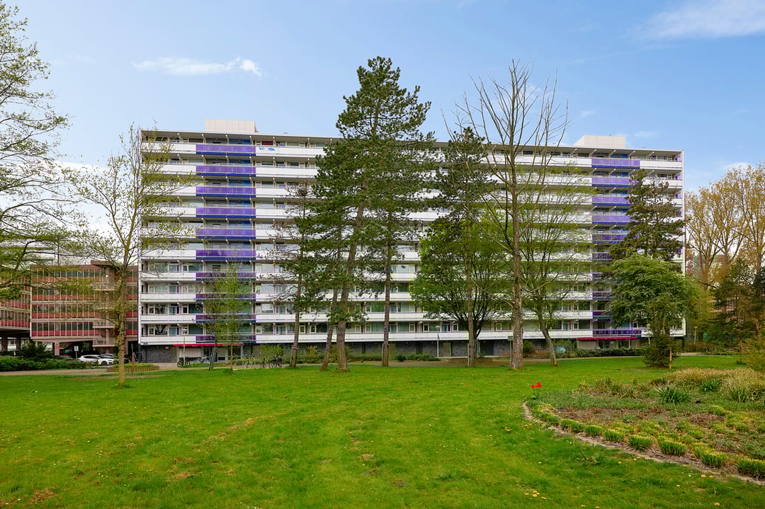 Foto 1 van Spinnekop 18