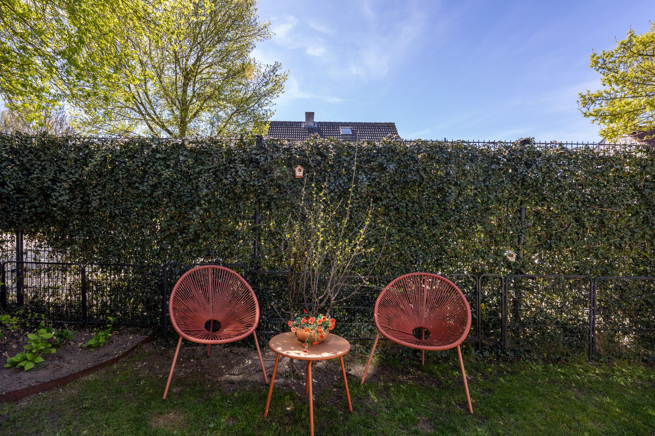 Foto 39 van Wederiksingel 14