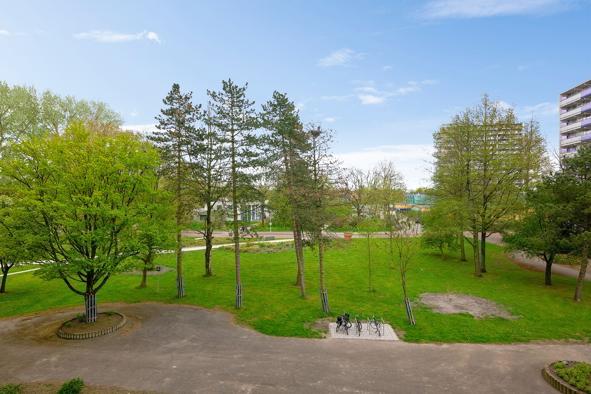 Foto 18 van Spinnekop 18