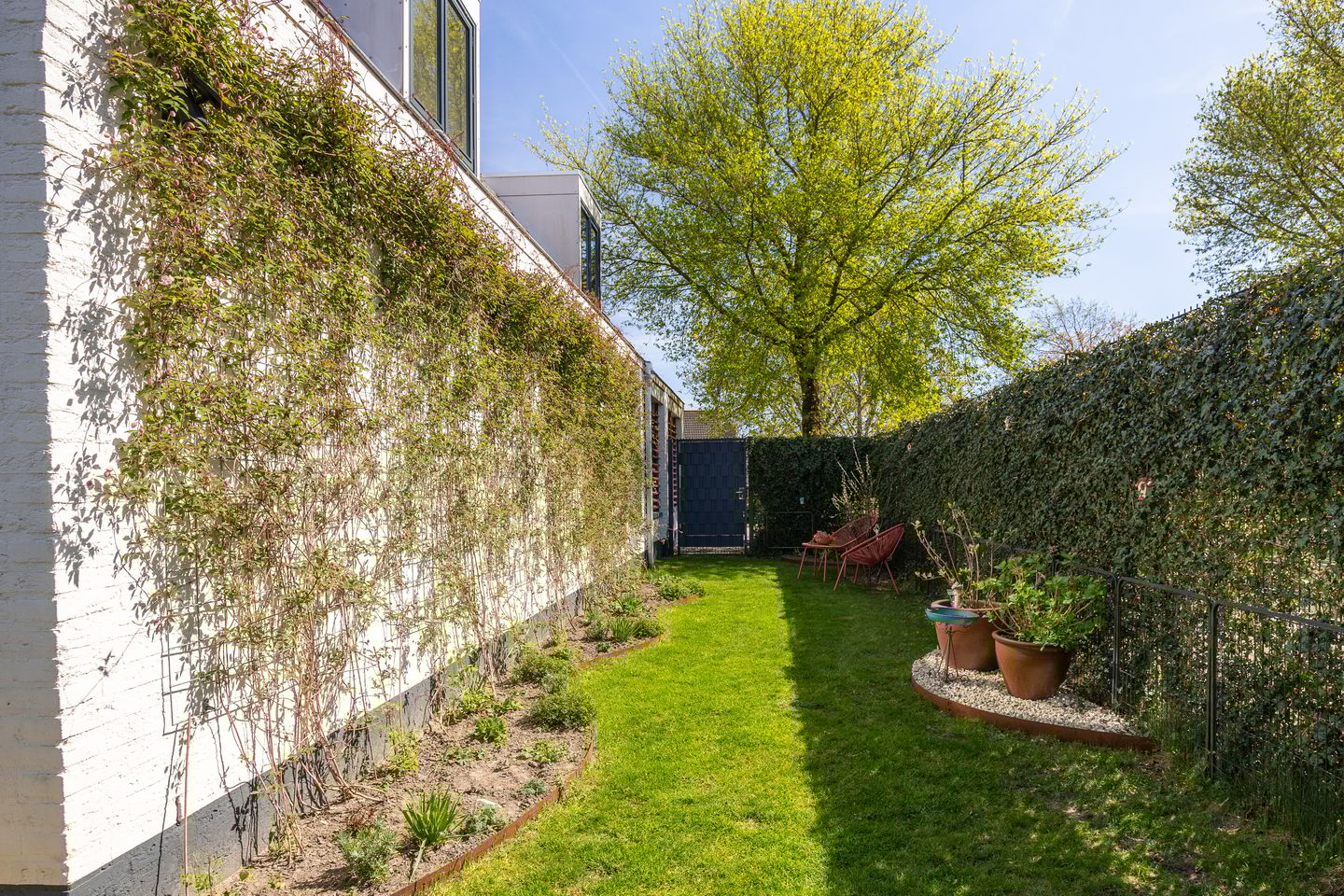 Foto 40 van Wederiksingel 14