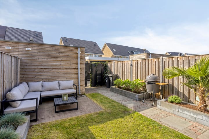 Photo 3 of Paardenbloem 25