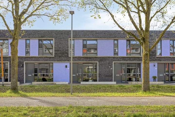 Photo 4 of Paardenbloem 25