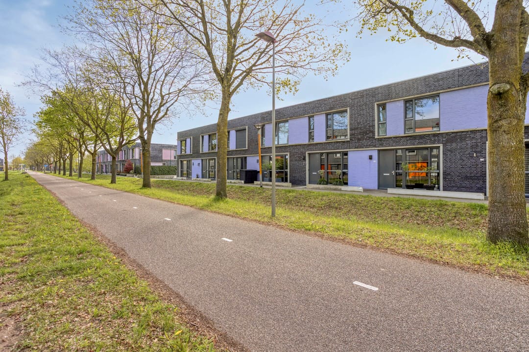 Foto 38 van Paardenbloem 25