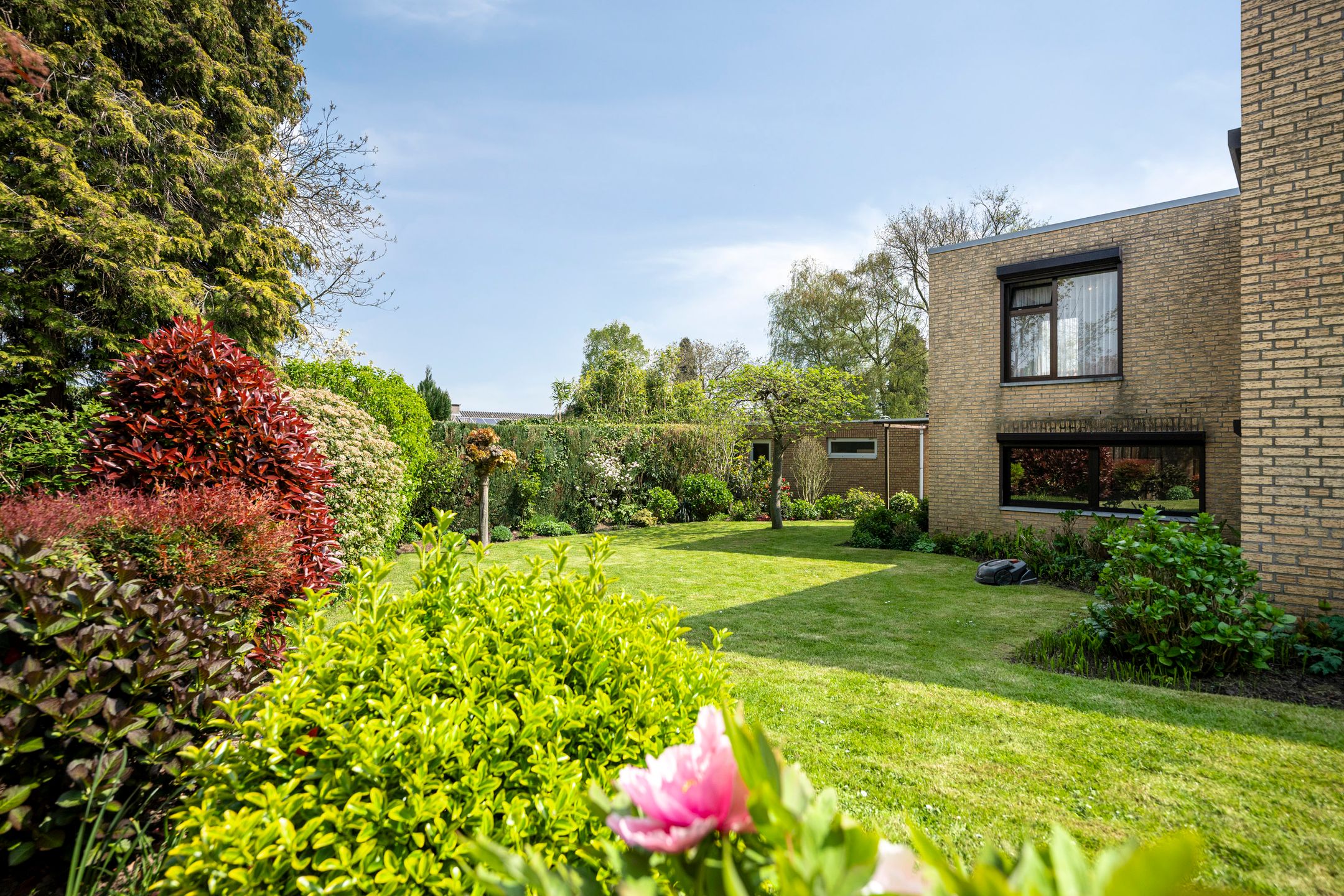 Foto 36 van Vredeslaan 28