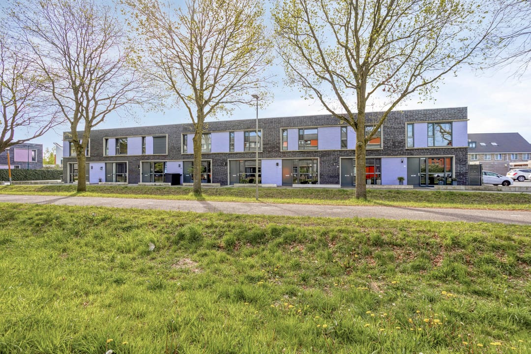 Foto 37 van Paardenbloem 25