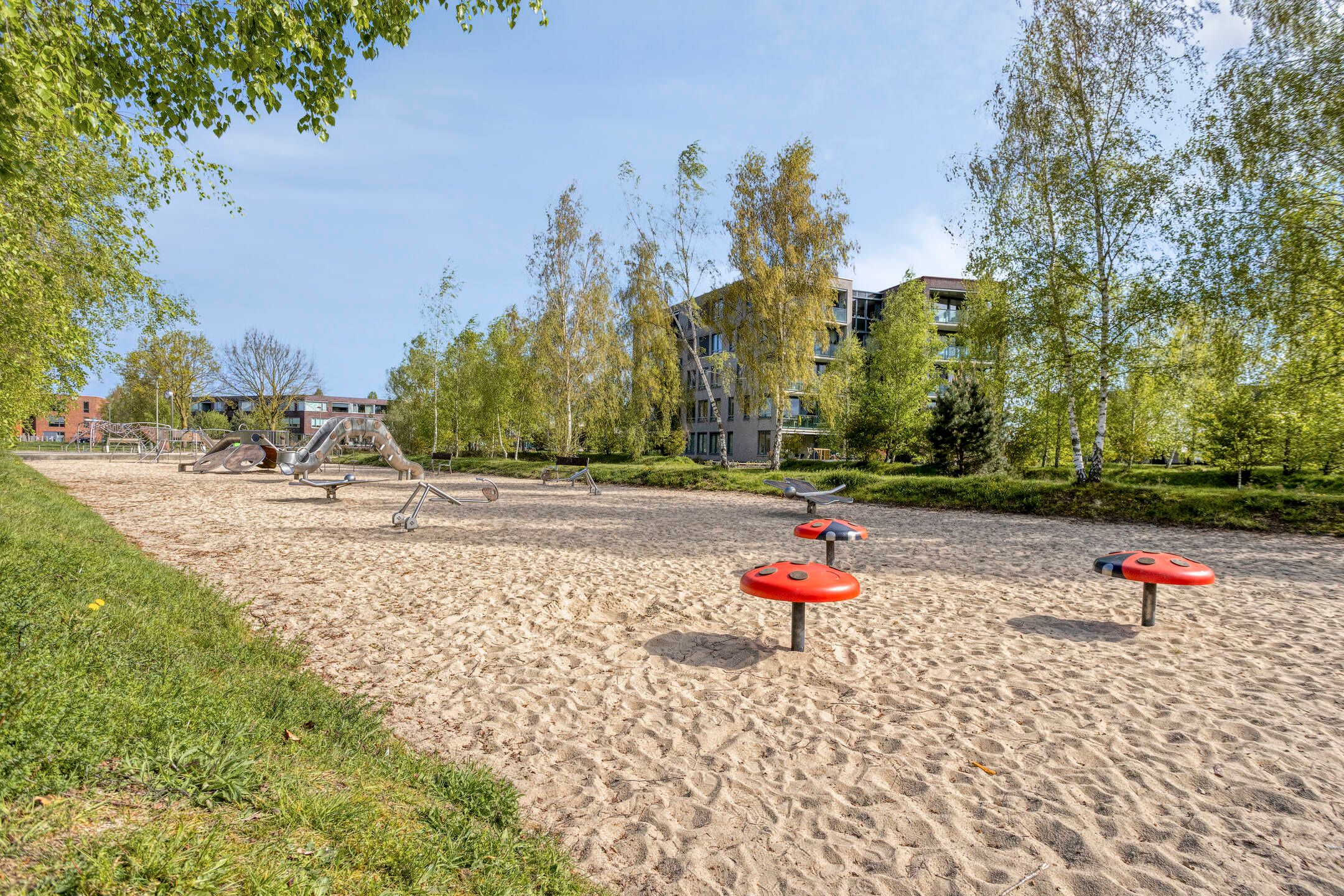 Foto 36 van Paardenbloem 25