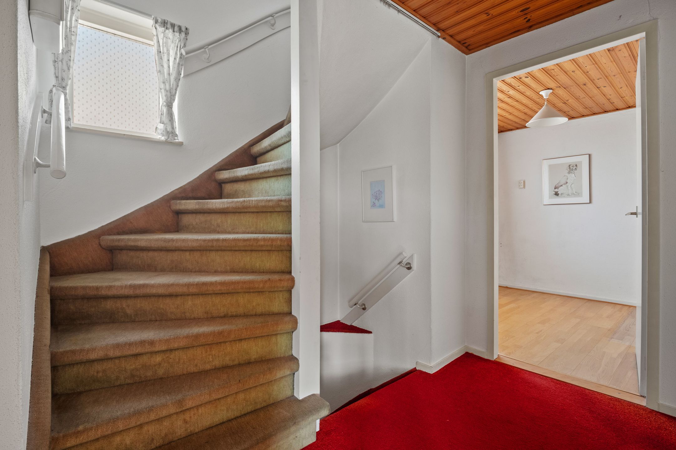 Foto 36 van Moleneindstraat 14