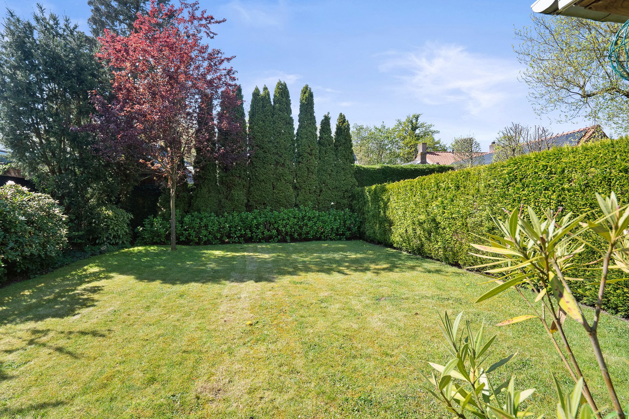 Foto 45 van Moleneindstraat 14