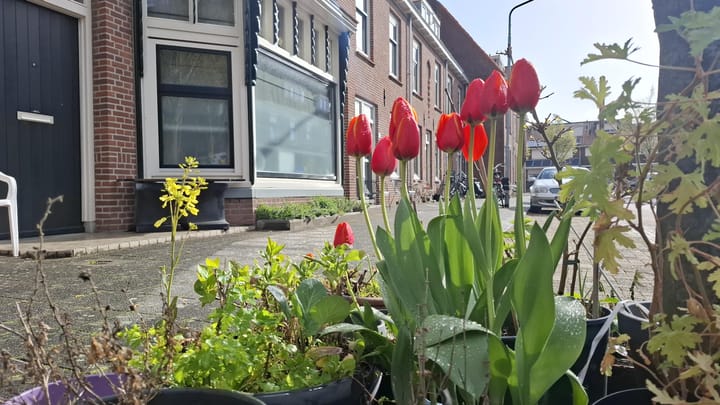 Foto 2 van Johannes Spaanstraat 70