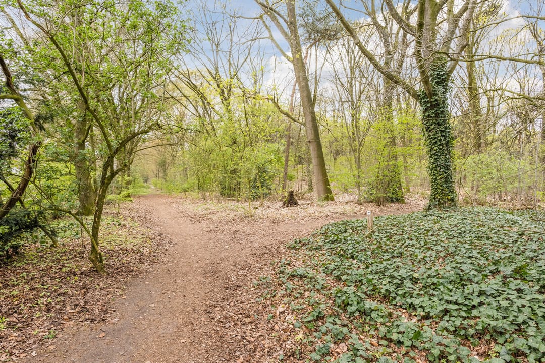 Foto 56 van Heidehof 8