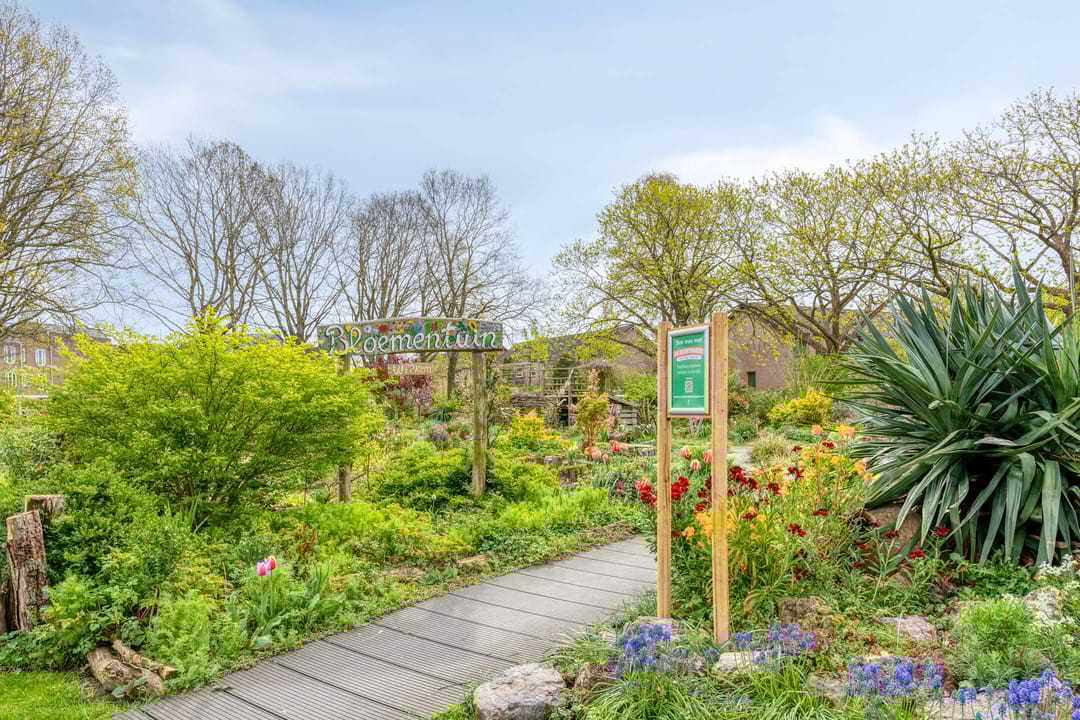 Photo 41 of Alsacelaan 36