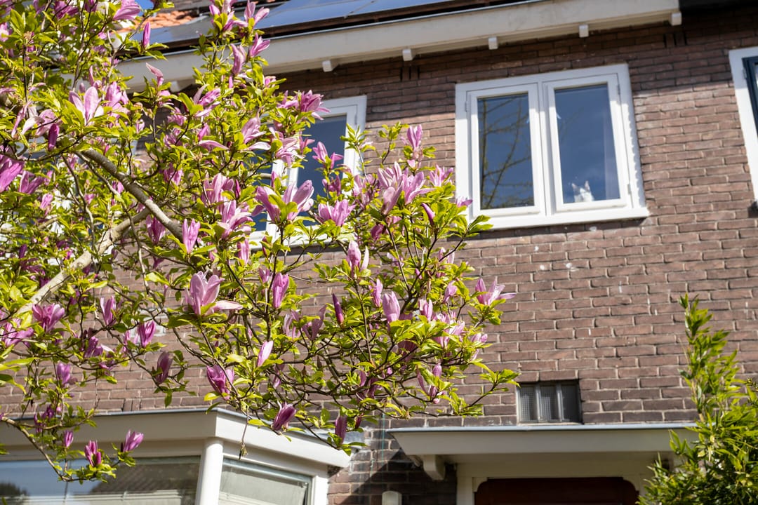 Photo 61 of Plattenburgerweg 47